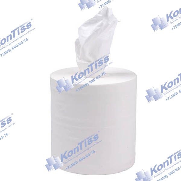 Полотенца бумажные в рулонах ТДК-2-160 ПЦ